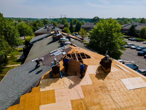Trusted Roof Replacement service in Schuyler, VA - Brentwood Metal Roofing